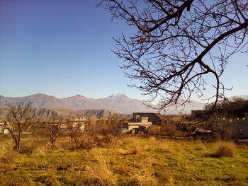 Bare trees on mountain against sky