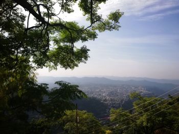 High angle view of trees against sky