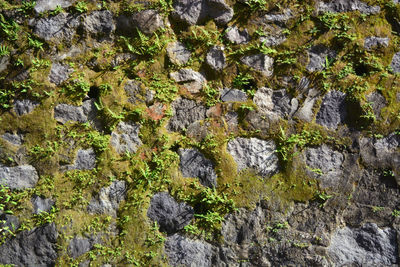 Full frame shot of rocks