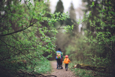 Rear view of family hiking on footpath in forest