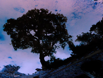 Silhouette trees against sky during winter