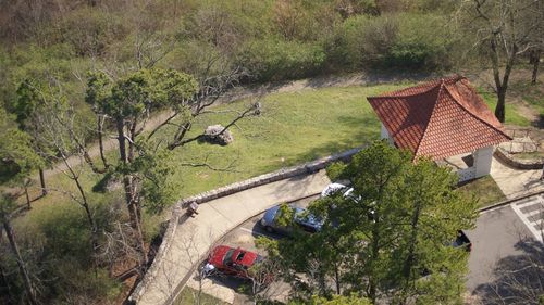 High angle view of houses by trees and plants