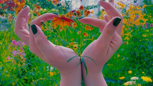 Close-up of hand with flowers