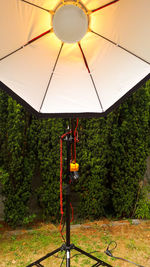 Man standing by illuminated lighting equipment on tree