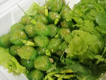 High angle view of chopped vegetables in bowl