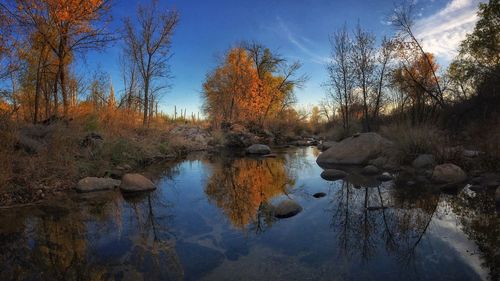 Reflection of trees in water against sky