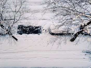 Bare trees on snow covered landscape