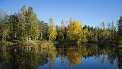 Scenic view of lake by trees against clear sky