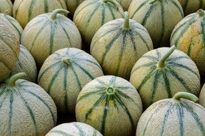 Full frame shot of pumpkins at market