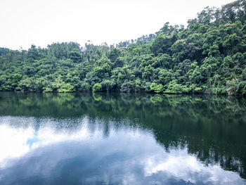 Scenic view of lake in forest against sky