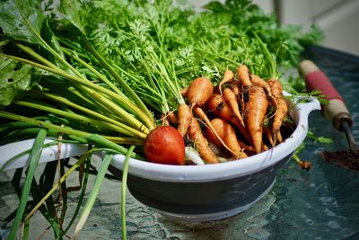 Close-up of tomatoes in plate