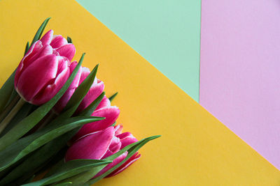 Close-up of pink flower on table