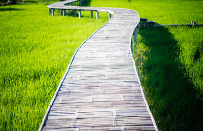 Empty road amidst field