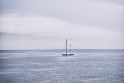 Sailboat sailing on sea against sky