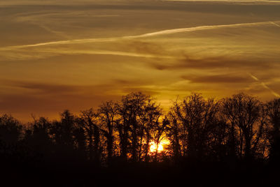 Silhouette trees against sky during sunset