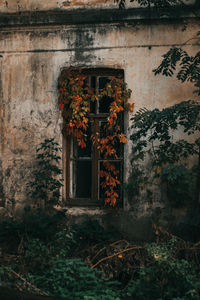 Entrance of old building