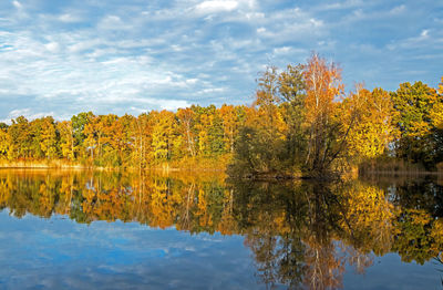 Scenic view of autumnal by trees against sky