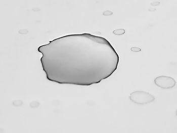 Close-up of water drops on white background