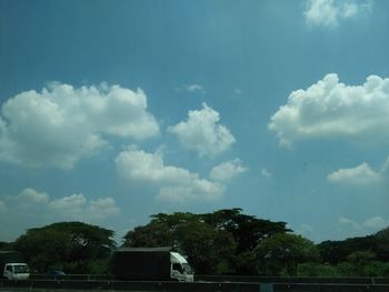 Trees against sky