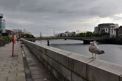 Bridge over river in city against sky