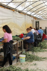 Group of people at market stall