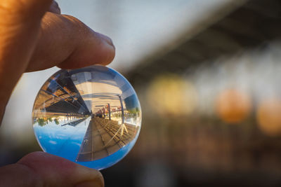 Cropped hand holding crystal ball