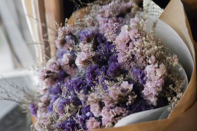 Close-up of purple flowering plant