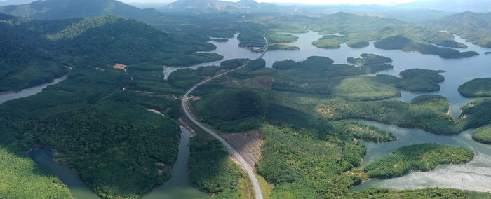 High angle view of trees on landscape