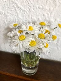 Close-up of white daisy flowers in vase