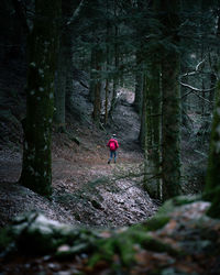 Rear view of woman standing amidst trees in forest