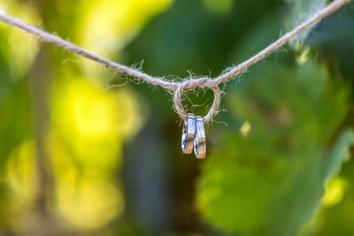 Close-up of wedding rings tied to rope