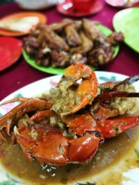 Close-up of served food in plate