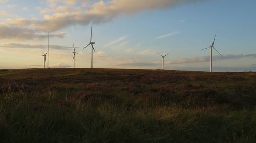 Windmills on field against sky