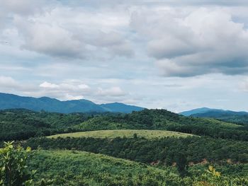 Scenic view of agricultural landscape against sky