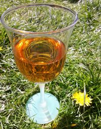 Close-up of drink in grass