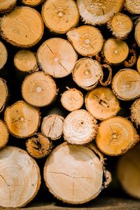 Full frame shot of logs in forest