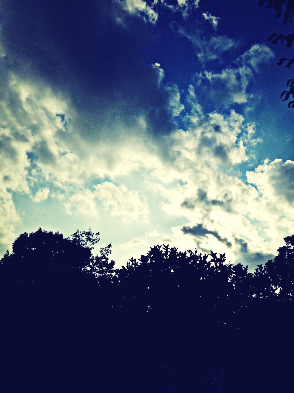 sky, tree, silhouette, low angle view, cloud - sky, blue, cloud, dusk, nature, growth, built structure, building exterior, cloudy, outdoors, beauty in nature, architecture, tranquility, no people, high section, scenics