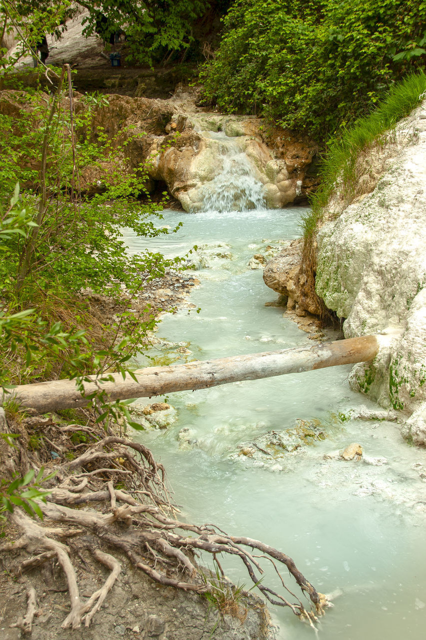 HIGH ANGLE VIEW OF RIVER FLOWING THROUGH FOREST