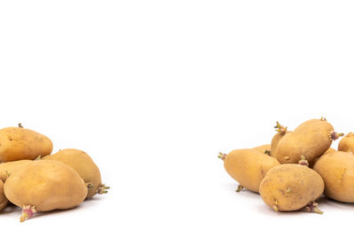 Close-up of fruits against white background