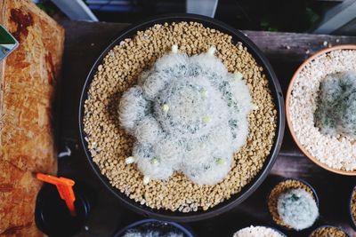 High angle view of food in kitchen