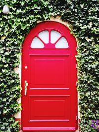 Red closed door of house