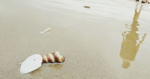 High angle view of wet sand on beach