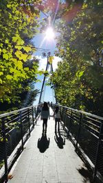 People walking on street amidst trees against sky