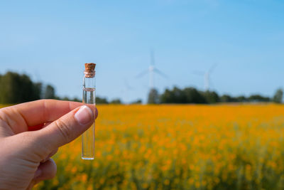 Cropped hand holding yellow flower