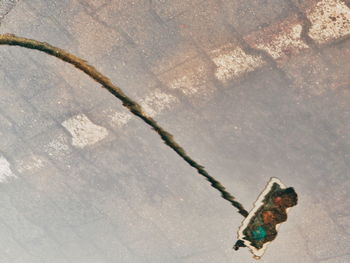 high angle view