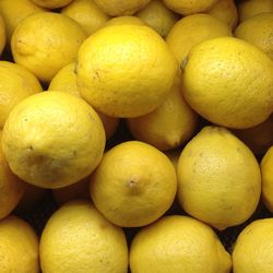 Full frame shot of lemons