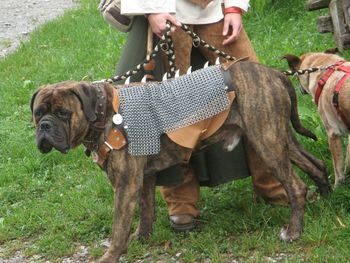 Woman standing on grass in park