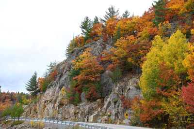 Trees by mountain against sky during autumn