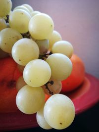 Close-up of fruits