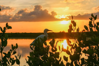 Scenic view of lake against sky during sunset